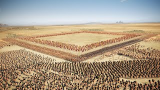 20000 Arverni Naked Man Vs Macedonian Pikeman amp Archers  Total War Rome 2 [upl. by Jensen851]