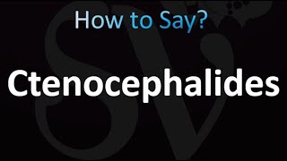 How to Pronounce Ctenocephalides correctly [upl. by Bret]