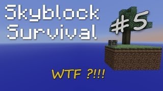 Skyblock FR  S1 quotEpisodequot 5  WTF [upl. by Donavon760]