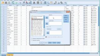 SPSS Tutorial 6  Introducing Crosstabulation [upl. by Toffey]