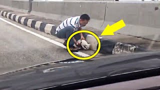 Man Sees Stray Cat Cowering In The Middle Of The Highway Then This Happens [upl. by Petua]