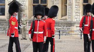 Nijmegen Company Grenadier Guards Tower of London [upl. by Phiona]