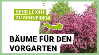 7 Bäume die sich perfekt für den Vorgarten eignen [upl. by Kissee47]