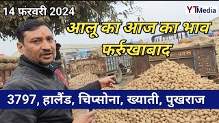 14 फरवरी 2024 आलू का आज का भाव फर्रुखाबाद 3797 हालैंड चिप्सोना ख्याती पुखराज [upl. by Aylad]