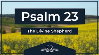 Psalm 23 NRSV  The Divine Shepherd Audio Bible [upl. by Brooke640]