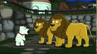 Family Guy Brian Jokes about the Detroit Lions [upl. by Haff]