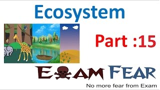 Biology Ecosystem part 15 Energy flow through Trophic levels class 12 XII [upl. by Kcolttam326]