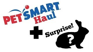 PetSmart Haul  SURPRISE [upl. by Tlaw]