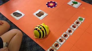 Learning to Code with BeeBots [upl. by Pietra]