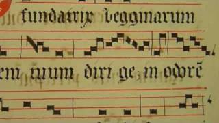 O fundatrix begginarum Gregorian Chant by Chant Group Psallentes [upl. by Susanne217]