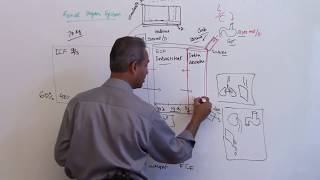 Body Fluid Compartments  Renal Physiology Lecture 1 Part 4 [upl. by Fesoj]