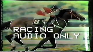 1996 Bendigo Cup Day audio Thu 14 Nov [upl. by Eevets790]