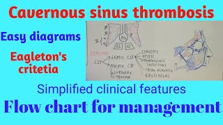 Cavernous sinus thrombosis [upl. by Ihculo]