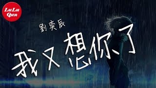 抖音《我又想你了》劉奕辰【動態歌詞Lyrics】 [upl. by Giustino]