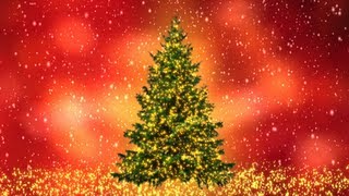 Twinkle Lights Christmas Tree 9 Colored Backgrounds Free Download Merry Christmas [upl. by Ronnie]