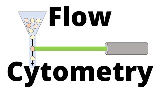 FLOW CYTOMETRY in 1 minute [upl. by Fabriane]