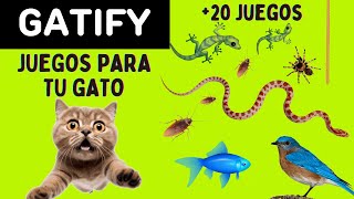 Juegos para Gatos  3 Horas de Ratones Moscas Cucarachas Peces Pájaros y todo lo que le gusta [upl. by Burack]