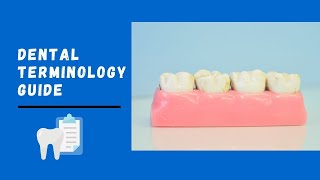 Basic Guide of Dental Terminologies  Landmarks on Tooth Surfaces  Dental Anatomy Basic Terminology [upl. by Inohtna]