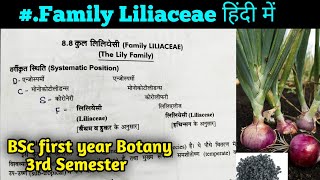 Family Liliaceae in hindi  BSc 2nd year Botany third Semester [upl. by Nagiam]