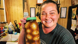 Quick Pickled Cucumber Slices in White Vinegar Brine  Easy 2 Hour Sliced Pickles  Recipe  117 [upl. by Kenna]