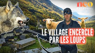 Ce village d’Isère résiste à trois meutes de loups [upl. by Easton]