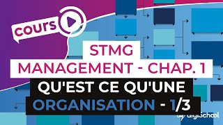 Chapitre 1  Quest ce quune organisation 13  Management Bac STMG  digiSchool [upl. by Nibaj]