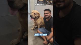 SCOOBY KO GHUSSA KYU AATA HAY  dogshorts mustlovedogs doglover dog doglife dogdad dogday [upl. by Enavi]