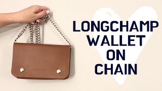 Louis Vuitton Vavin Chain Wallet  2 Year Review  Wear amp Tear  Styling [upl. by Onileba208]