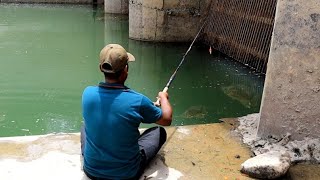 AWSOME fishingfisherman catching defrent fishes with small hook [upl. by Aisetra434]