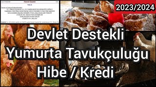 Devlet Destekli Tavuk çiftliği kurmak  Nasıl bir yol izlemeliyim  tavukçiftliği [upl. by Itoc632]