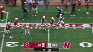 Dante Dowdell 49yard TD run  2024 spring game [upl. by Masera]