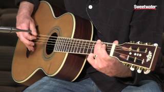 Washburn WP21SENS Acousticelectric Guitar Demo by Sweetwater Sound [upl. by Adon]