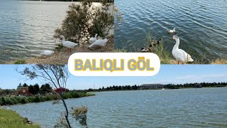 AZERSUN ISTIRAHET MERKEZI☘PIKNIK⛺BALIQLI GOL🐠 2022 [upl. by Mitzl]