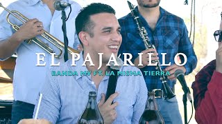 EL PAJARILLO  Banda MV ft Luis Angel Miranda Misma Tierra [upl. by Oiratnom]