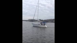 1979 299 Seidelmann Sailboat out on Eagle Mountain Lake [upl. by Adnauqahs240]