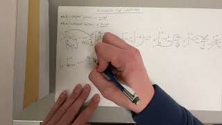 Nucleophilic Acyl Substitution Amides [upl. by Onitsoga683]