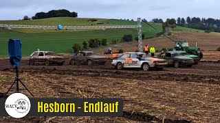 AUTOCROSS Hesborn D 2024  Endlauf Tourenwagen WACV 4K [upl. by Ahsiekam]