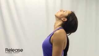 Cervical Spine Retraction amp Extension  McKenzie Exercise for Neck [upl. by Derward736]