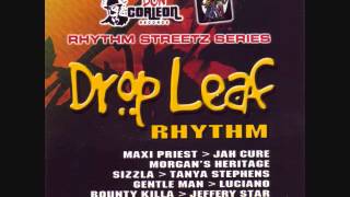 Drop Leaf Riddim Mix 2005 By DJ WOLFPAK [upl. by Ardnal]