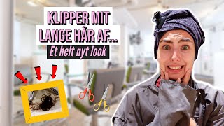 KLIPPER MIG KORTHÅRET ISH  ET HELT NYT LOOK  TIL FRISØR FOR FØRSTE GANG I ET ÅR ❤️‍🔥💇 [upl. by Brenna]