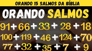 ORANDO OS SALMOS 709166 33 9 119 18 7 28 77 32 3518100124 ORAÇÃO PODEREOSA [upl. by Dranoel]