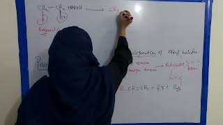 Prepration of alkene Dehydrohalogenation of alkyl Halides hydrocarbons [upl. by Anyrak]