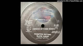 The Pointer Sisters  Slow Hand 1981 HQ [upl. by Reivax618]