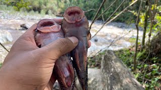 👉Pescando CON ANZUELOS en el RIO del CAMPO con la Familia Chilo 🐟 [upl. by Noirred]