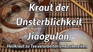 Kraut der Unsterblichkeit  Jiaogulan  Heilkraut zu Tee verarbeiten und zubereiten [upl. by Jurkoic386]