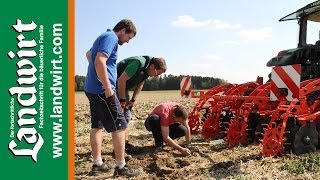 Verschiedene Anbauverfahren Mais Das Ergebnis [upl. by Animor]