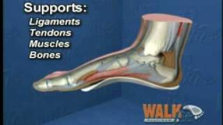 Walkfit Orthotics  wwwSeenTVCanadacom  Walkfit Platinum Insoles [upl. by Fawnia186]