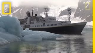 Killer Whales vs Minke Whale  National Geographic [upl. by Notrub]