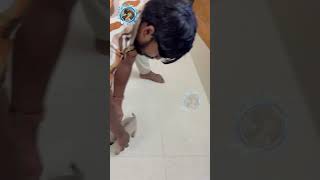 நான் எப்படி இந்த வீட்டுக்குள்ள வந்தேன்னு பாருங்க annie doglover dogs pugdog [upl. by Jarnagin]