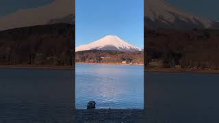 富士山  山中湖  湖中倒影  很冷 [upl. by Aziza]